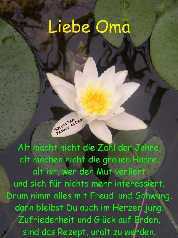 worte zum geburtstag