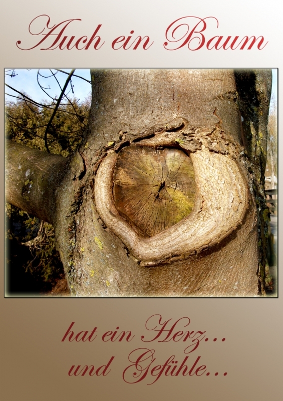 Bildgedicht: Auch ein Baum hat ein Herz