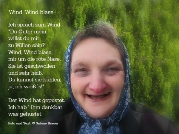 Bildgedicht: Wind, Wind blase