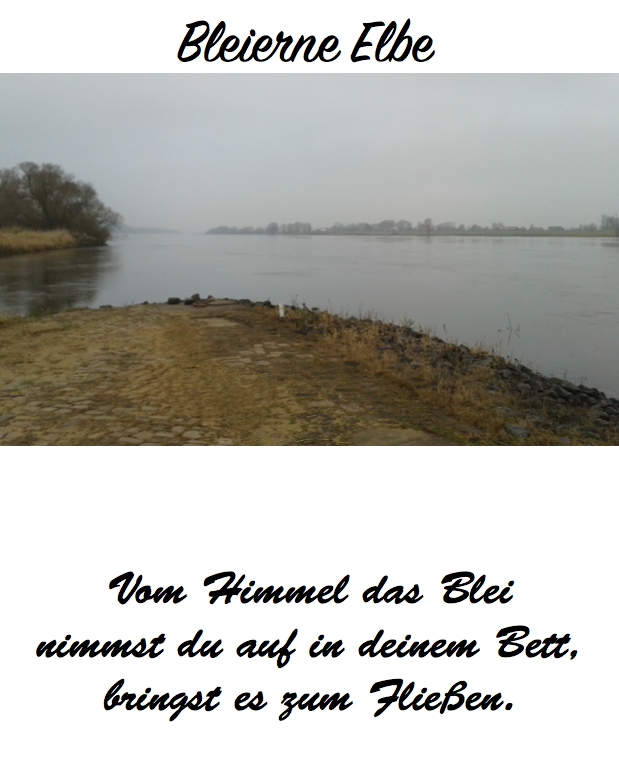 Bildgedicht: Bleierne Elbe (Haiku)