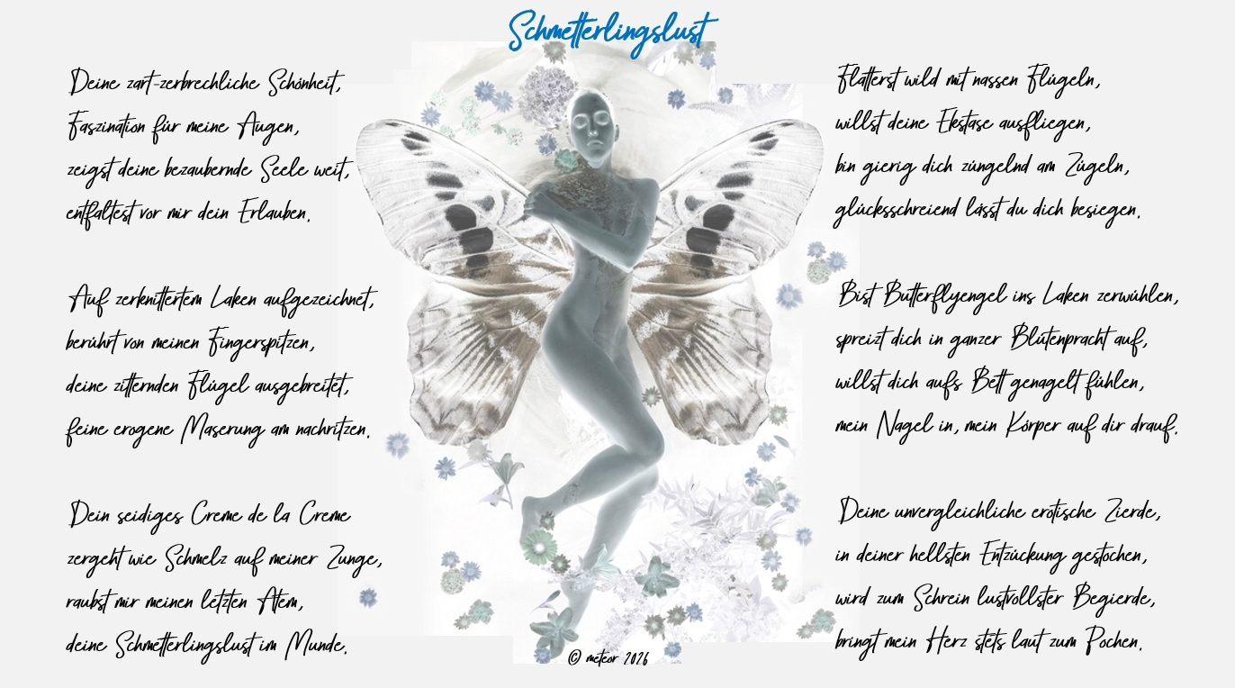Bildgedicht: Schmetterlingslust