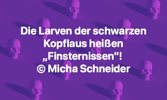 Bildgedicht: Finsternissen