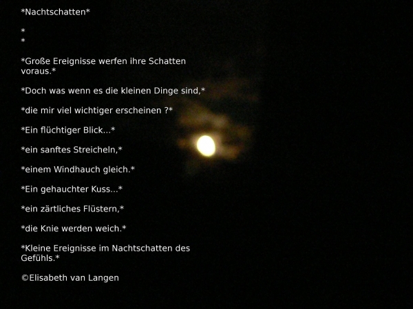 Bildgedicht: Nachtschatten