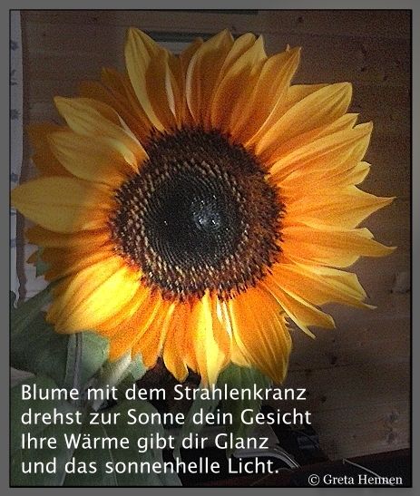 Bildgedicht: Gruß der Sonnenblume