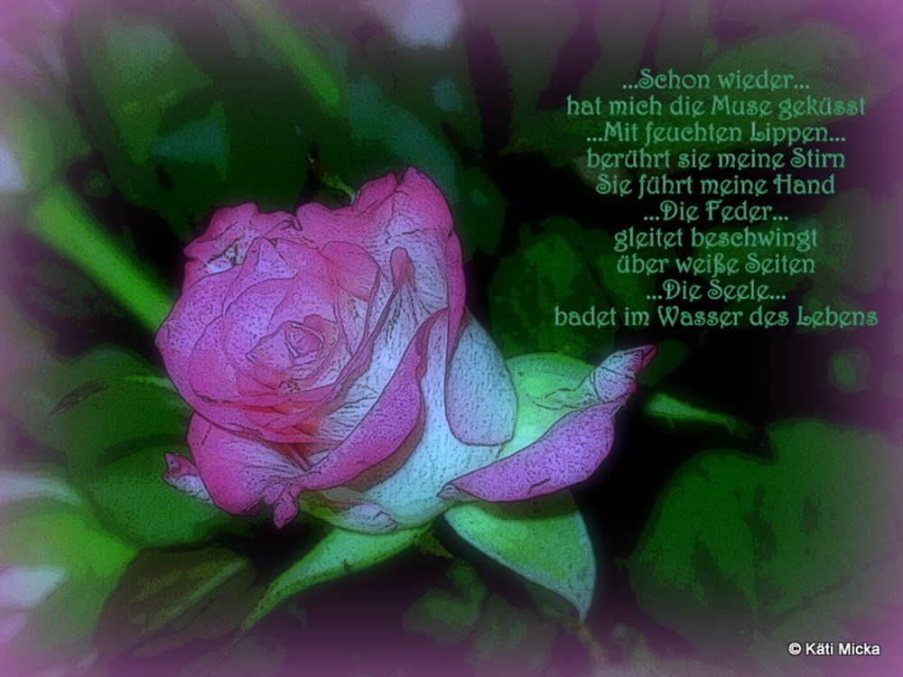 Bildgedicht: Schon wieder