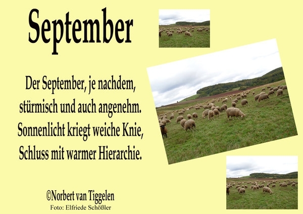 September - Ein Bildgedicht von Norbert Van Tiggelen