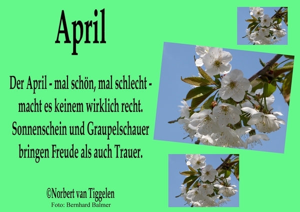 Bildgedicht: April