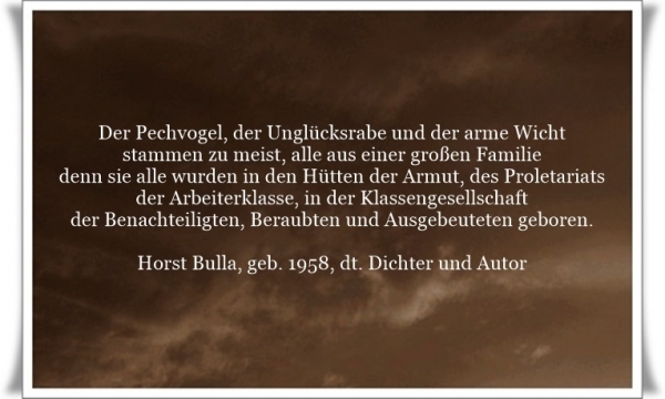 Bildgedicht: Der Pechvogel, der Unglücksrabe