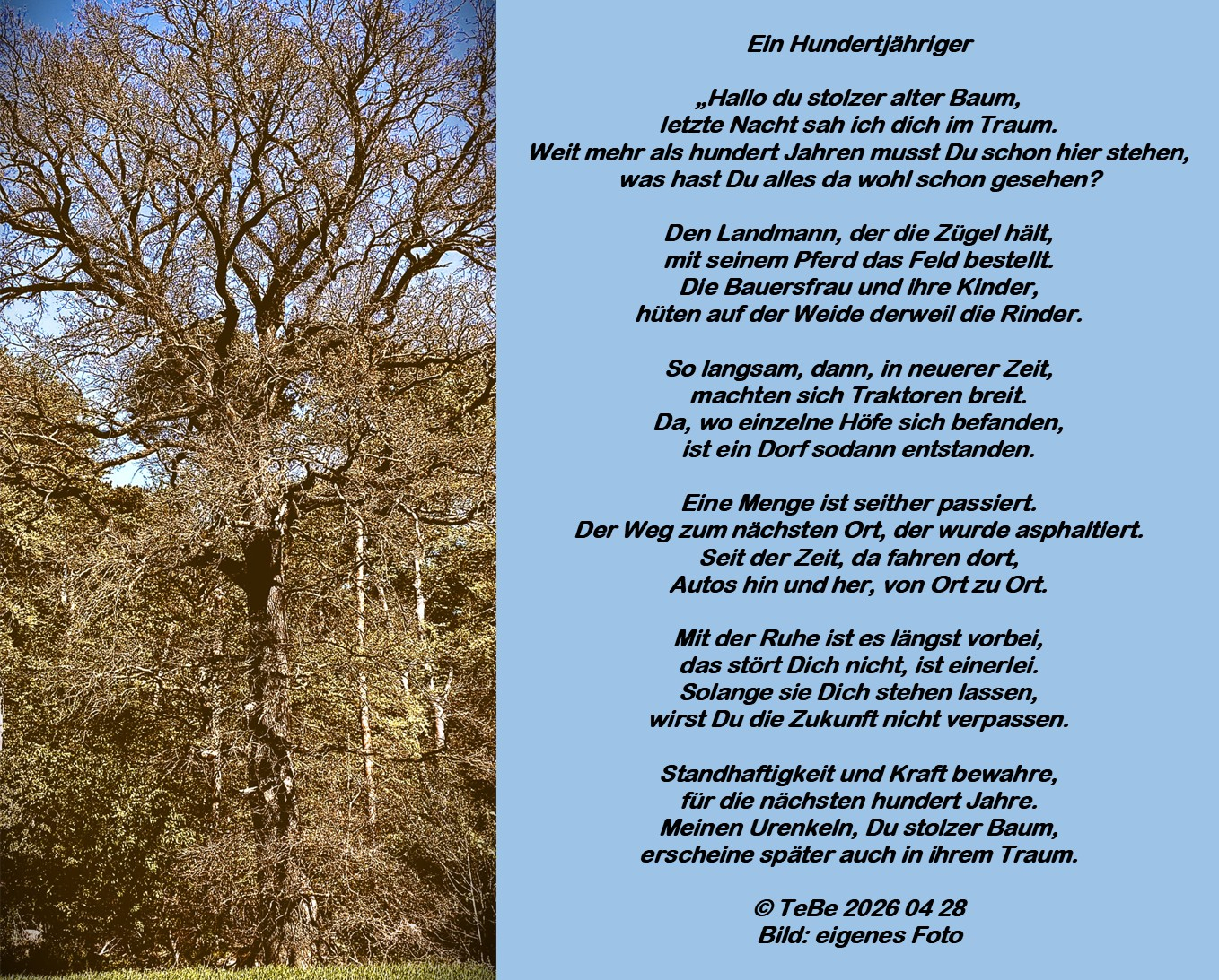 Bildgedicht: Ein Hundertj&auml;hriger