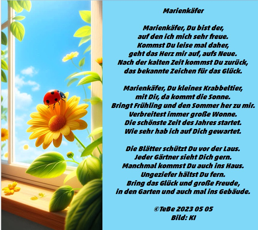 Bildgedicht: Marienk&auml;fer