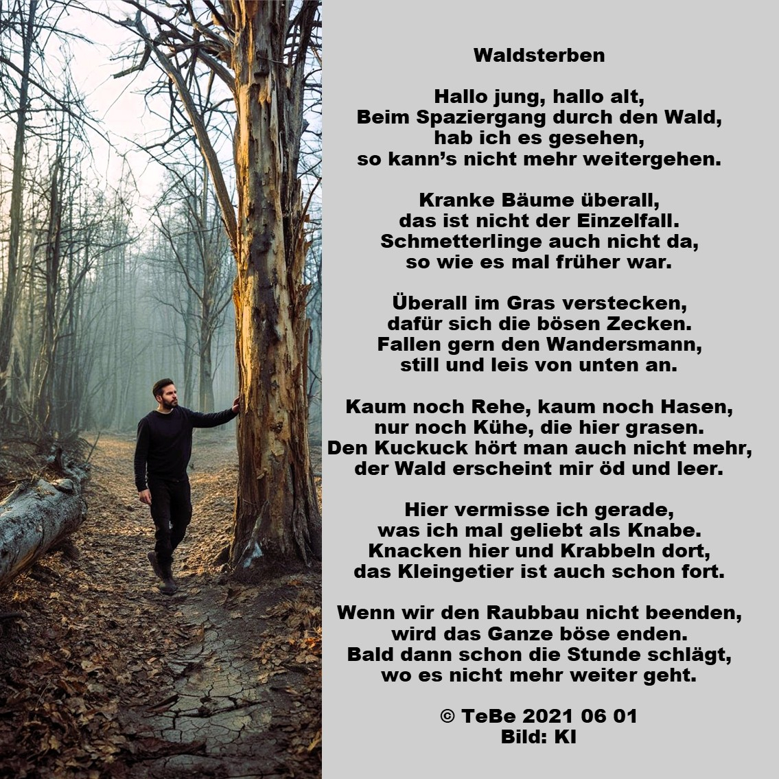 Bildgedicht: Waldsterben