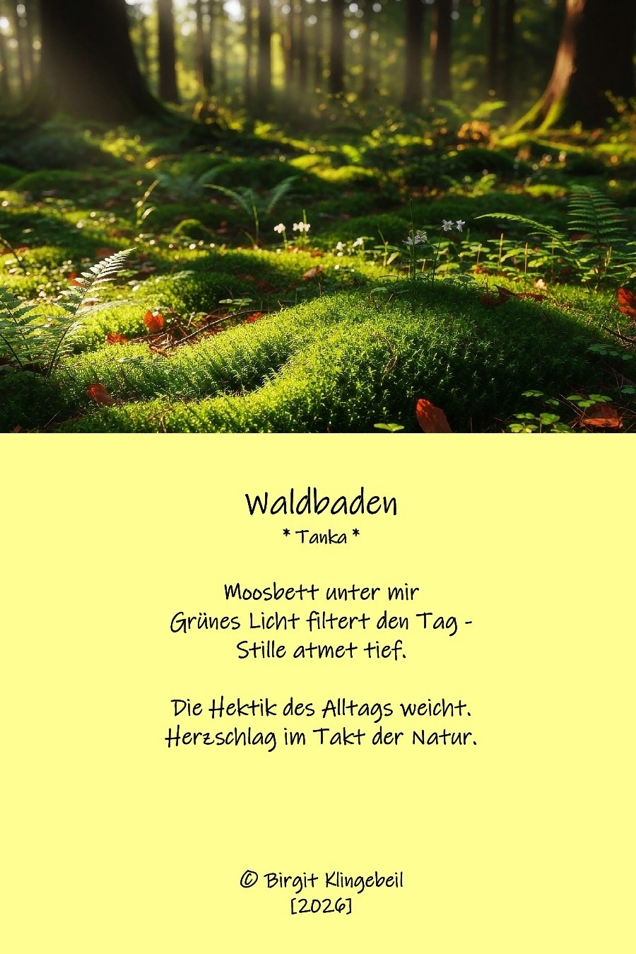 Bildgedicht: Waldbaden