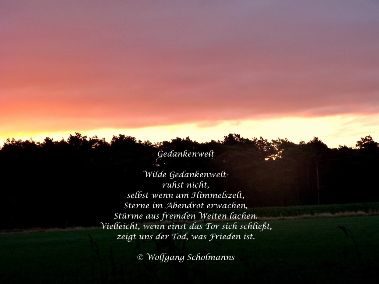 Bildgedicht: Wilde Gedankenwelt