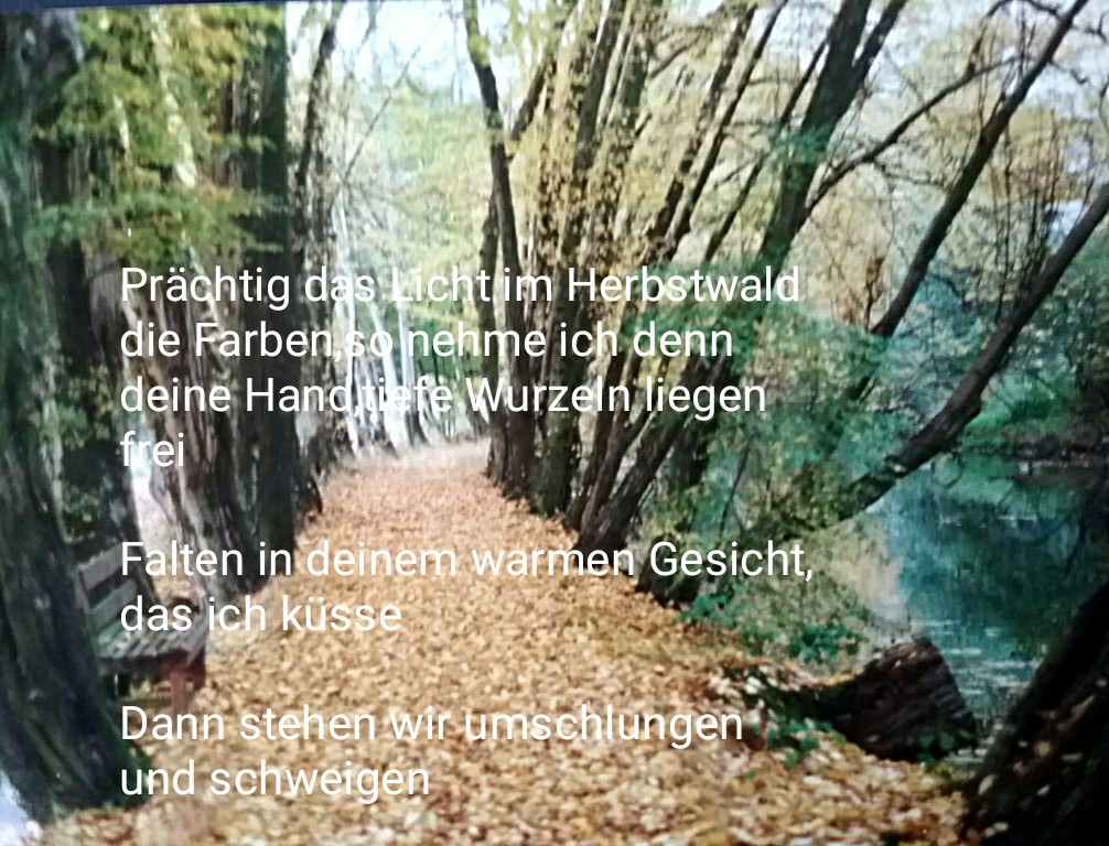 Bildgedicht: Spaziergang