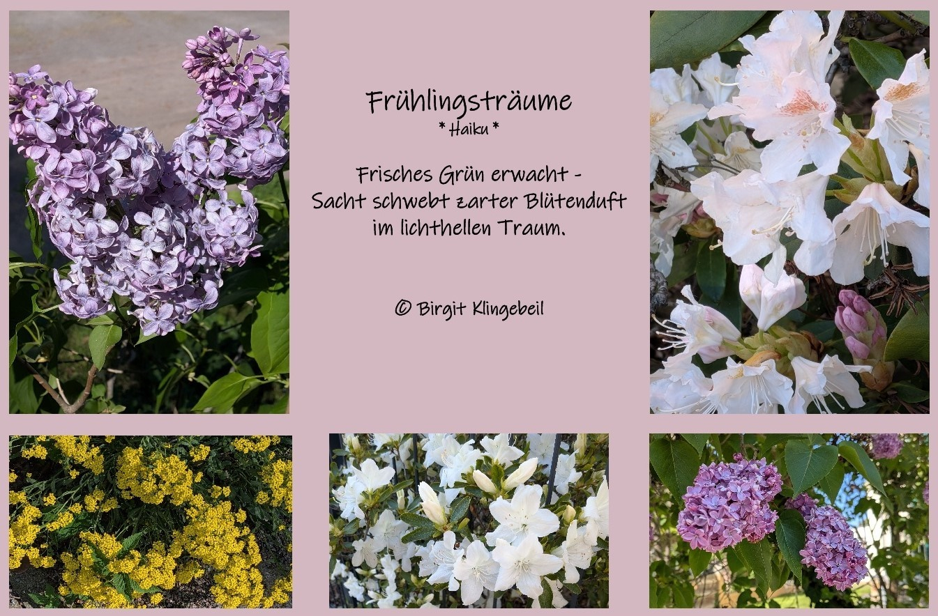 Bildgedicht: Fr&uuml;hlingstr&auml;ume