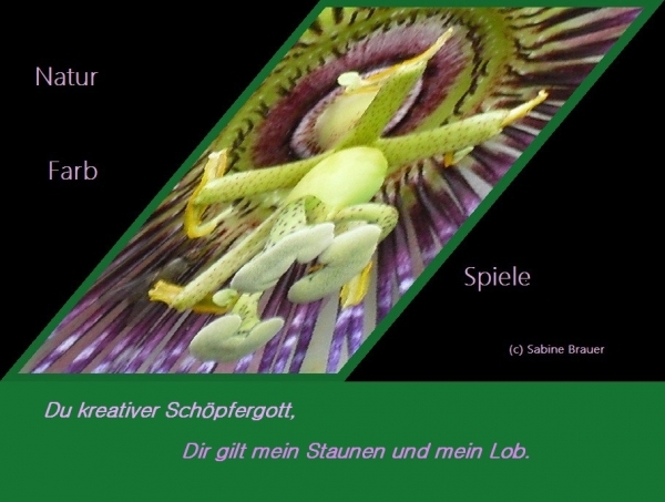 Bildgedicht: Naturfarbspiele