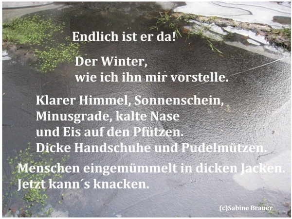 Bildgedicht: Winter