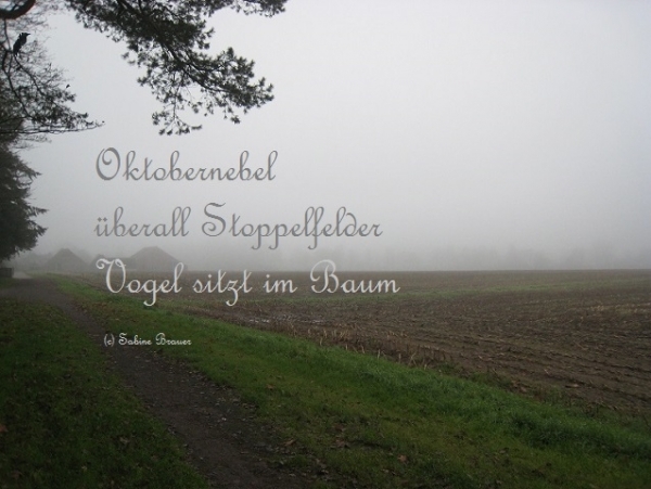 Bildgedicht: Oktobernebel