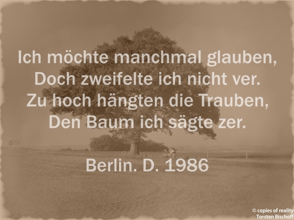 Bildgedicht: Zu hoch hängten die Trauben