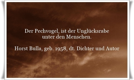 Bildgedicht: Der Pechvogel, ist der