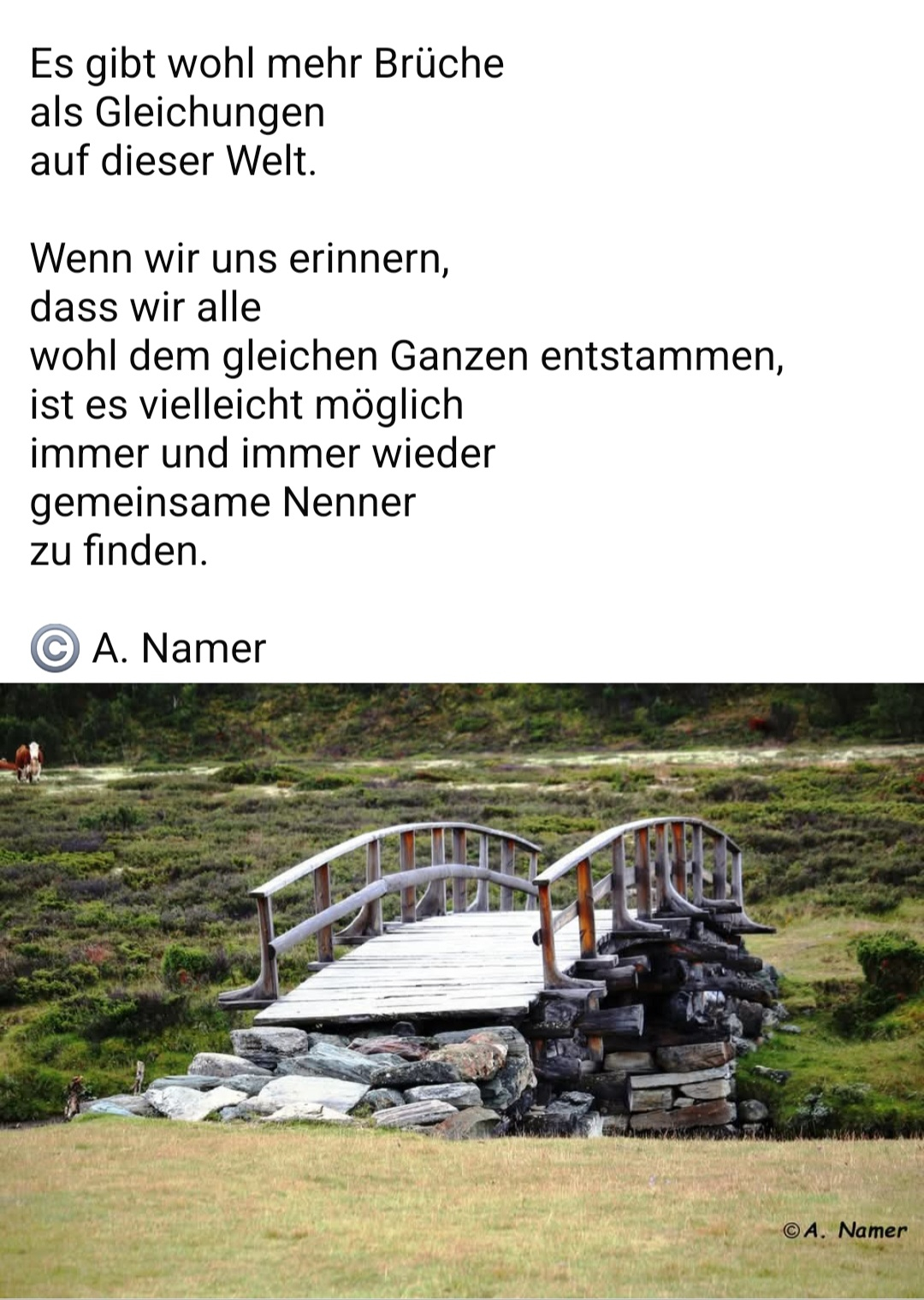 Bildgedicht: Br&uuml;che und Gleichungen