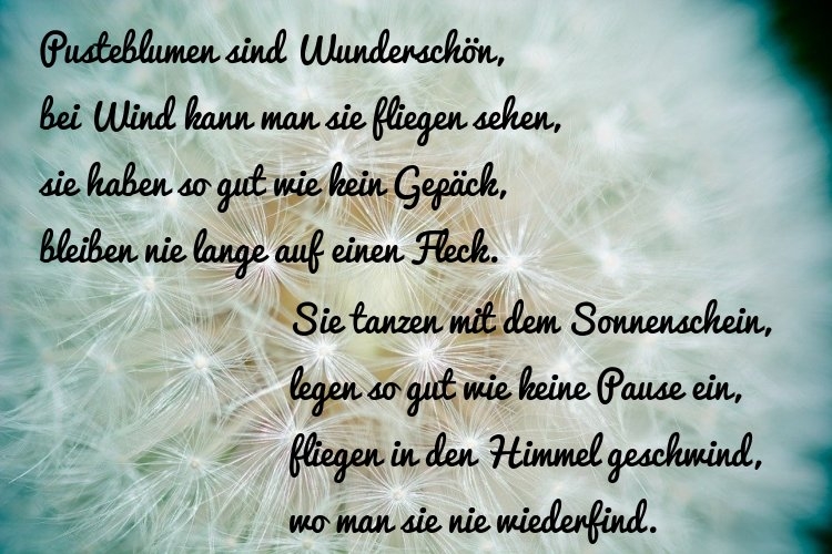 Bildgedicht: Pusteblume...