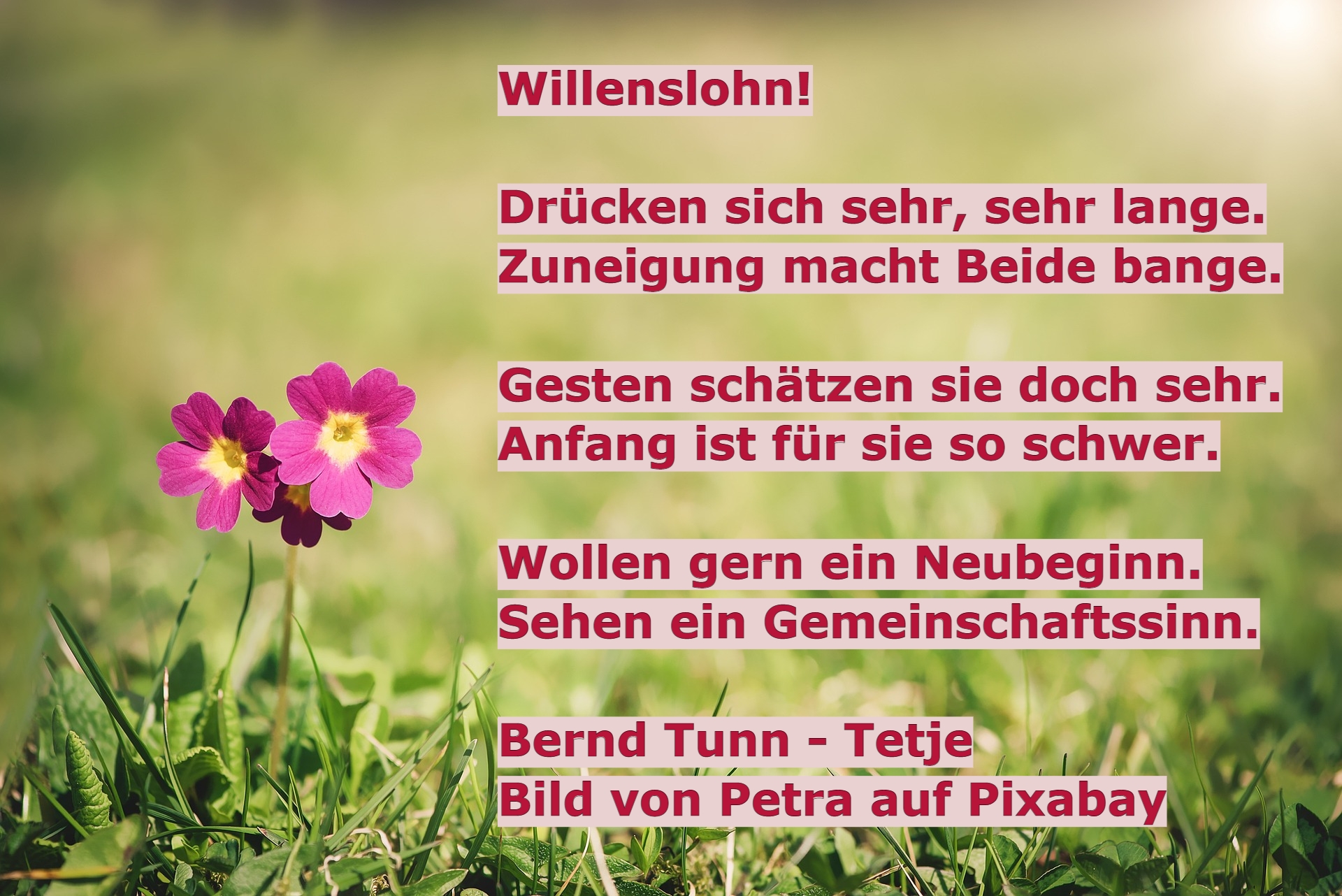 Bildgedicht: Willenslohn!