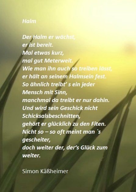 Bildgedicht: Halm