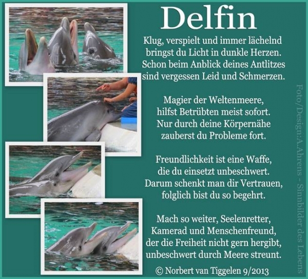 Bildgedicht: Delfin