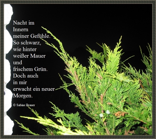 Bildgedicht: Nacht