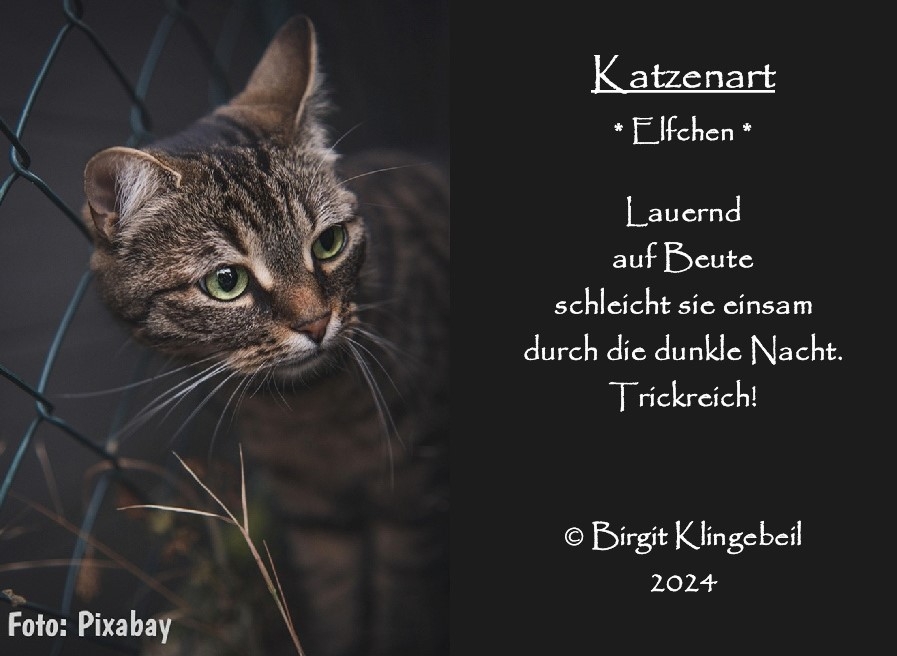 Bildgedicht: Katzenart