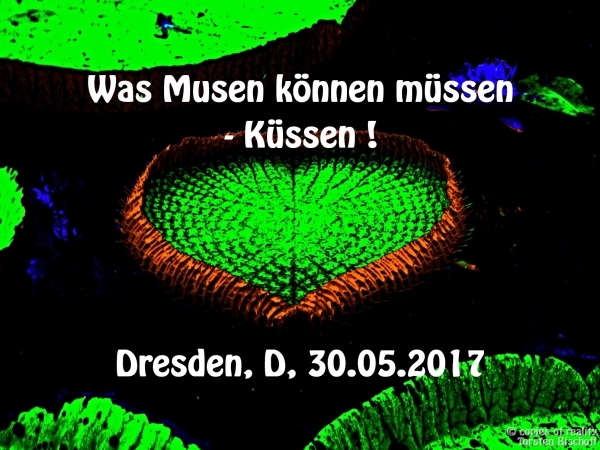 Bildgedicht: Musen-Trilogie I