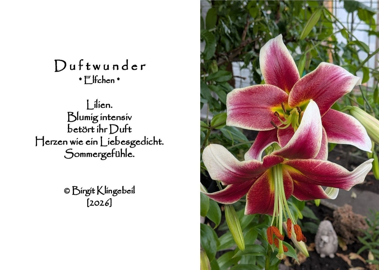 Bildgedicht: Duftwunder