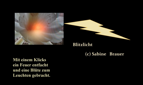 Bildgedicht: Blitzlicht