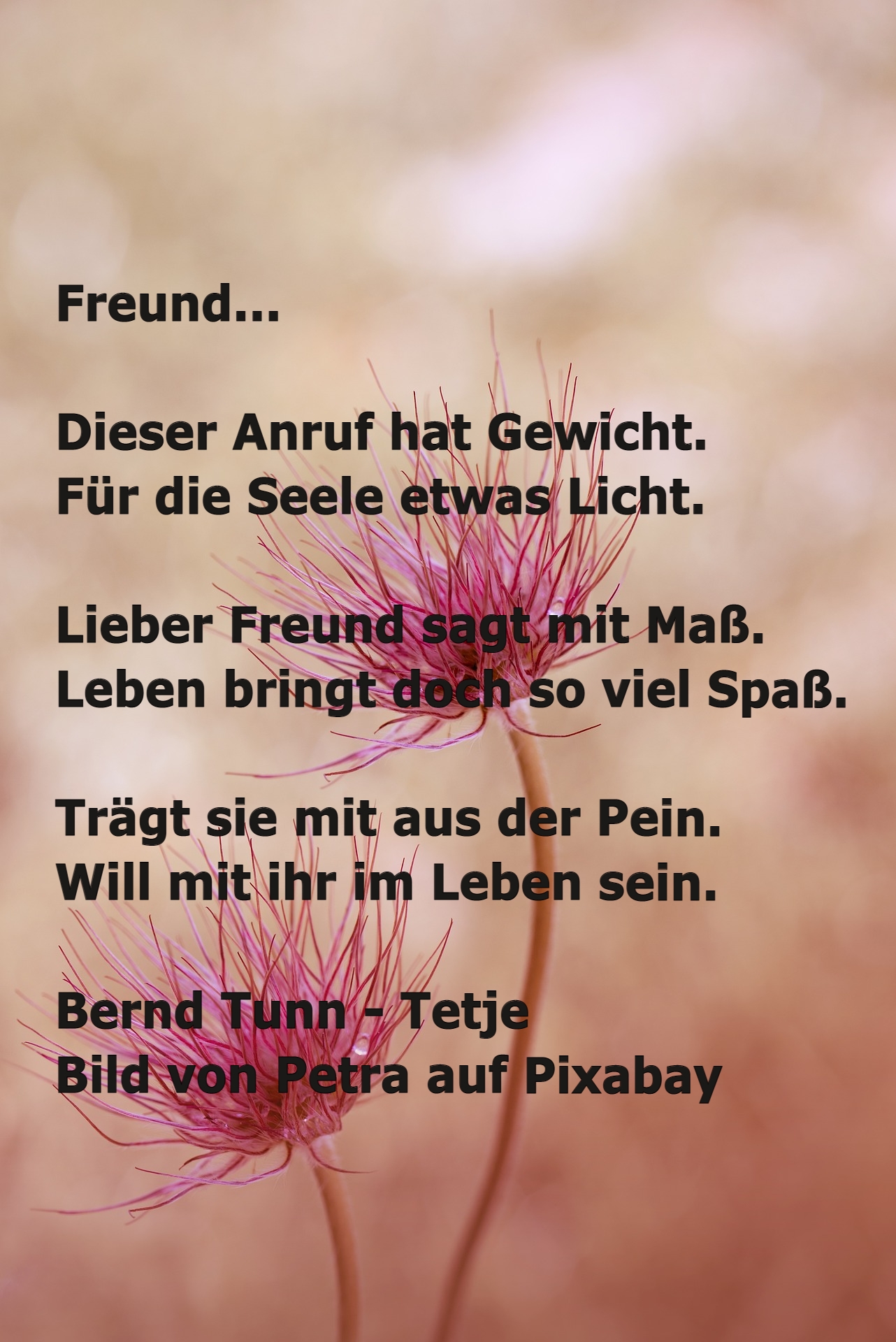 Bildgedicht: Freund...