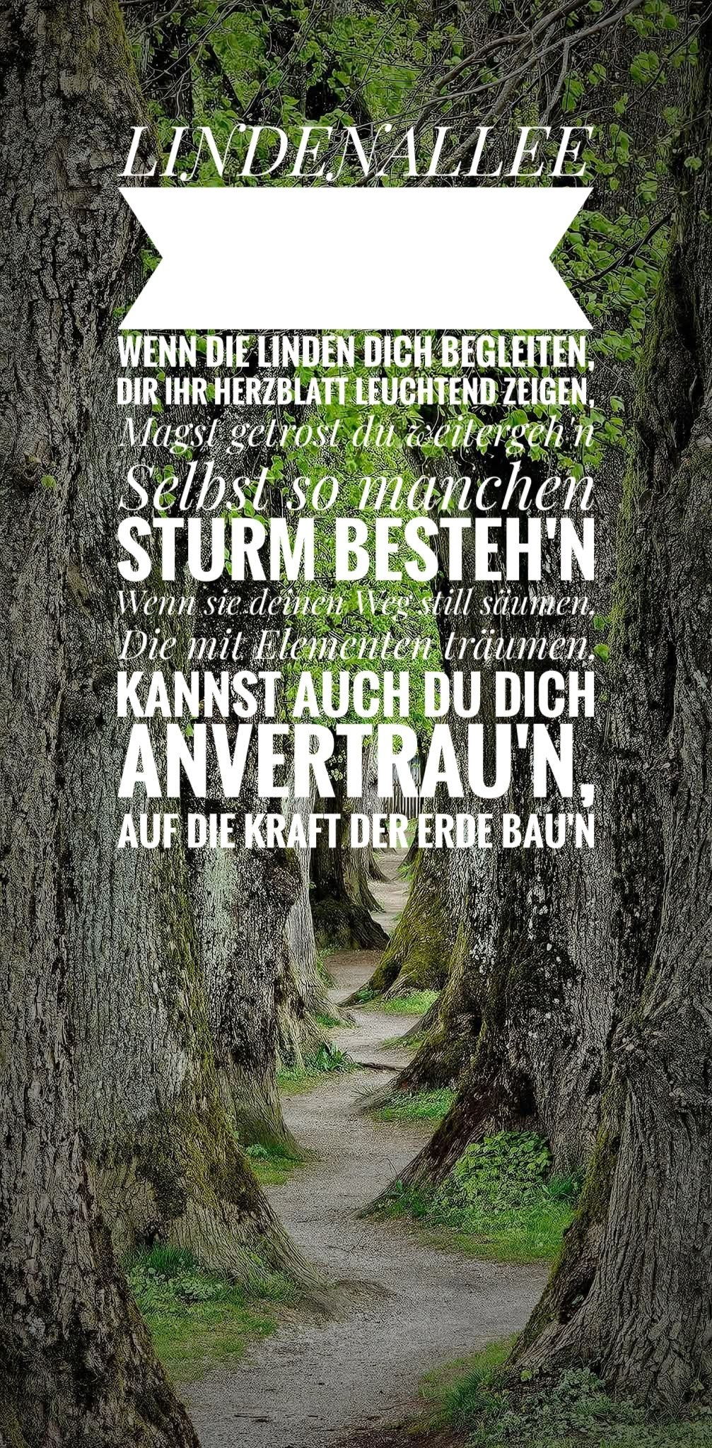 Bildgedicht: LINDENALLEE