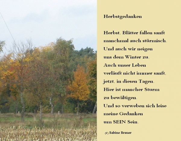 Bildgedicht: Herbstgedanken