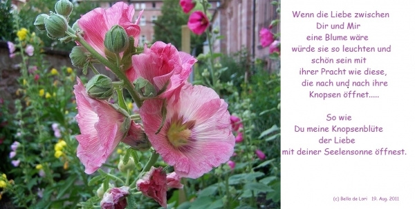 Bildgedicht: Knospenblüte der Liebe