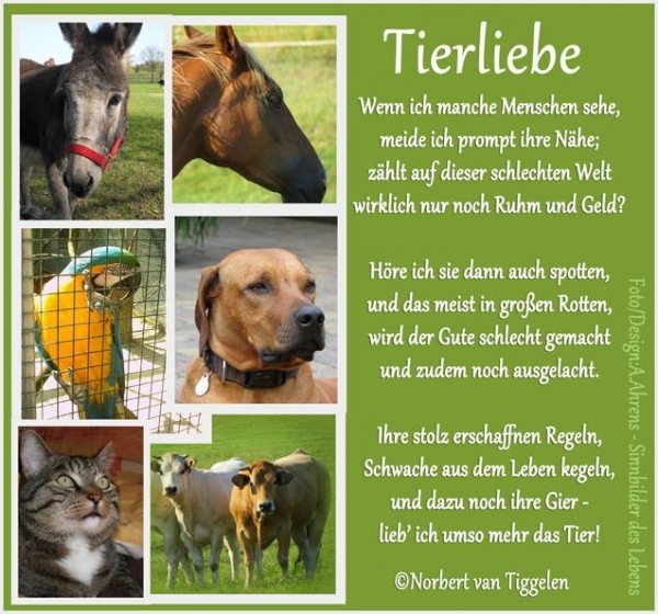 Bildgedicht: Tierliebe