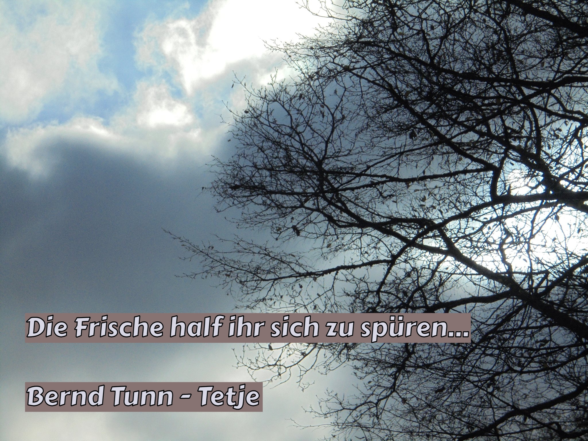 Bildgedicht: Die Frische...