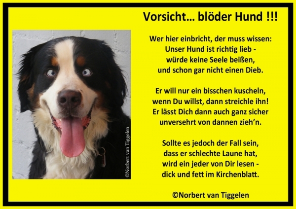 Bildgedicht: Vorsicht, blöder Hund