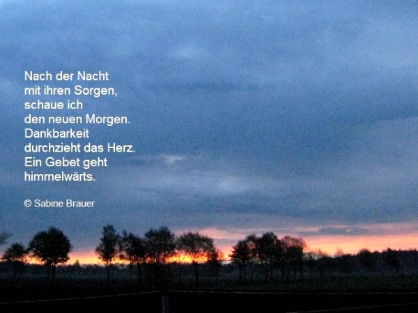 Bildgedicht: Nach der Nacht