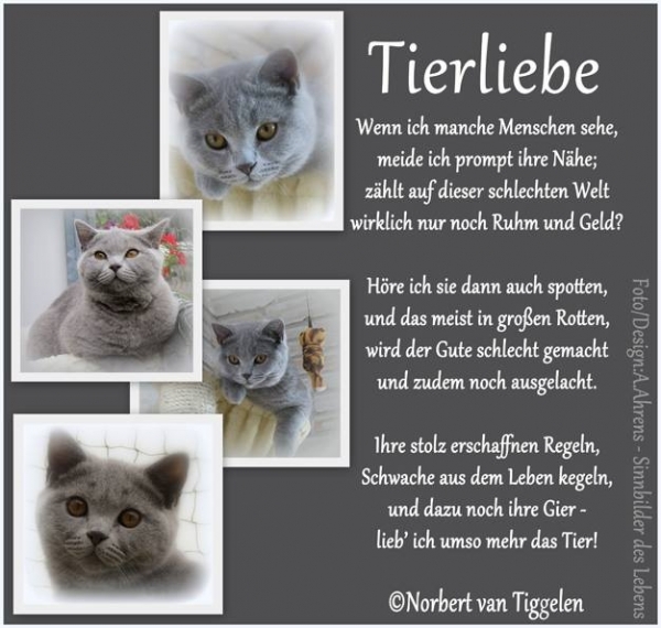 Bildgedicht: Tierliebe