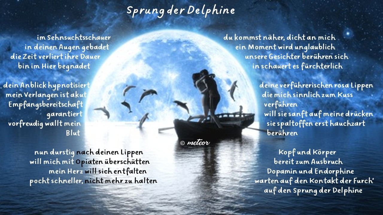 Bildgedicht: Sprung der Delphine