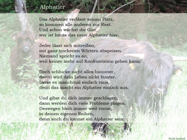 Bildgedicht: Alphatier