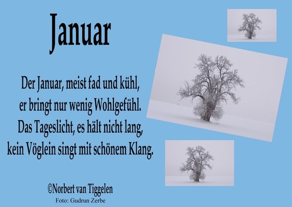 Bildgedicht: Januar