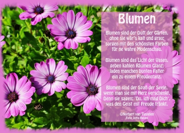 Bildgedicht: Blumen