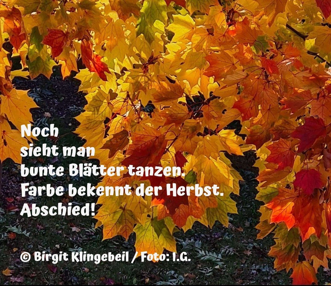 Bildgedicht: Auf Wiedersehen