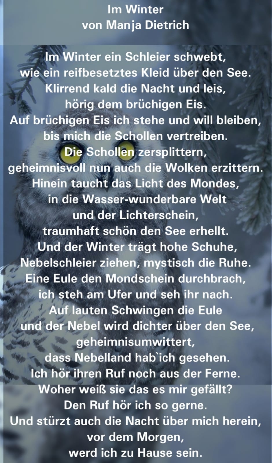 Bildgedicht: Winter