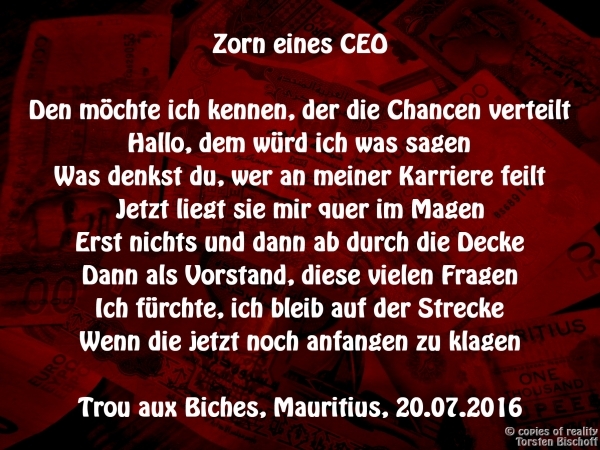 Bildgedicht: Zorn eines CEO